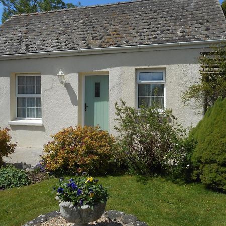 Glascoed Farmhouse Carmarthen Ngoại thất bức ảnh